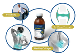 JointLixr Syrup - 100ml